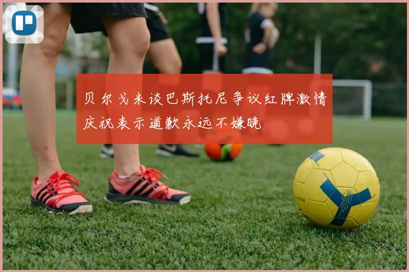 贝尔戈米谈巴斯托尼争议红牌激情庆祝表示道歉永远不嫌晚