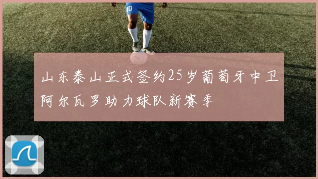 山东泰山正式签约25岁葡萄牙中卫阿尔瓦罗助力球队新赛季