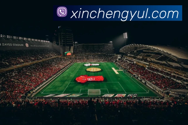 未来规划
